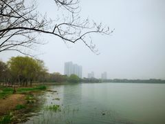 -高子水居