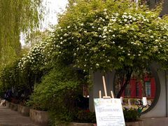 -四川大学(望江校区)