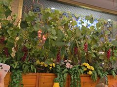 -新粤新疆菜清真餐厅(拱北店)