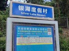 -银湖山郊野公园-相思林