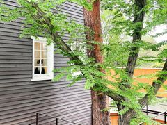 -三鹰之森吉卜力美术馆