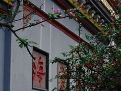 -棠湖公园