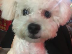 -嘉善路(地铁站)