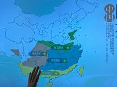 -中国茶叶博物馆(双峰馆区)