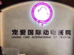 -宠爱国际动物医院·疑难骨科·心肾内科·皮肤科(太阳宫店)