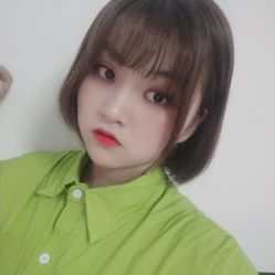 -YESIDO椰岛造型