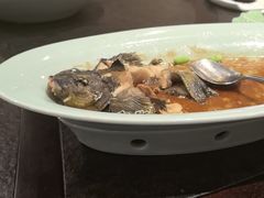 -浩运海鲜·16年专注青岛菜(石老人店)