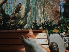 -T80科技文化国际社区-停车场