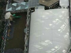 -曲江大雅幼儿园·托育(西安市雁塔区店)