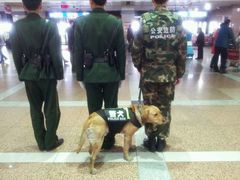 android_upload_pic-哈尔滨太平国际机场