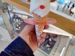 -野人先生现做冰淇淋(北京环宇荟店)