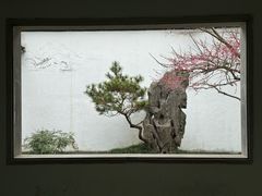 -杭州植物园