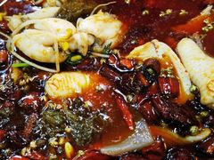 -烧哥美蛙肥肠鱼火锅·十五年社区店