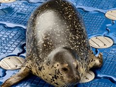 -华夏文旅西安度假区