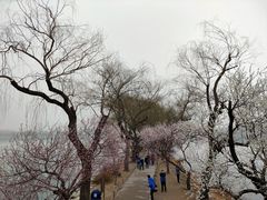 -颐和园