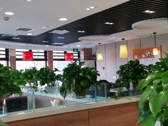 大堂-嘉和一品粥(政府街店)