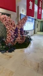 点击看大图 -石家庄苏亚美联臣医疗美容医院