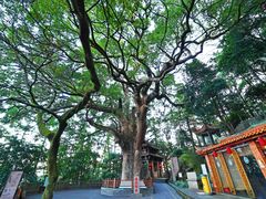 -安溪清水岩