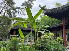 -秋霞圃