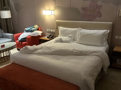 -北京广安门维景国际大酒店