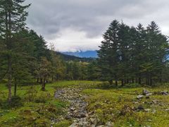 -硗碛藏寨·神木垒景区