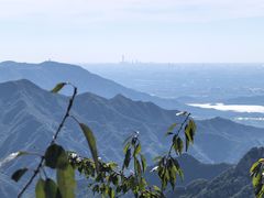 -大岭沟猕猴桃谷风景区
