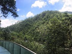 -龙井峡漂流
