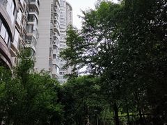 -新湖明珠城