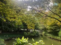-钱江新城灯光秀