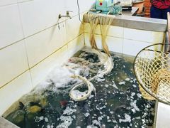 -都江堰石锅鱼