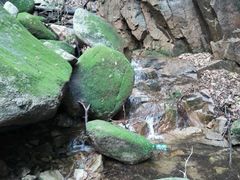 android_upload_pic-三块石国家森林公园
