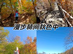 -天女山森林公园
