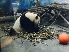 -无锡动物园·太湖欢乐园