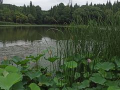 -新洲生态园