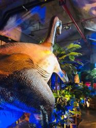 -恐龙探索乐园(磁器口店)