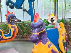 -南宫五洲植物乐园