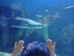 -海合安武汉极地海洋公园