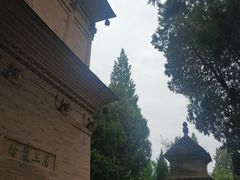 -兴教寺
