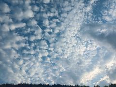 -宁波九龙湖开元度假村
