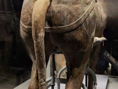 -秦始皇帝陵博物院(兵马俑)