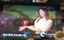 -未来动物城主题公园(正弘城店)