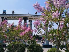 -人民防洪胜利纪念塔