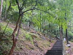 -严子陵钓台(富春江小三峡)