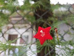 -中国中医科学院西苑医院(本部)