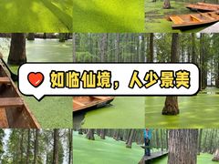 -渌洋湖湿地公园