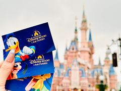 -上海迪士尼度假区