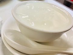 -澳洲牛奶公司(佐敦店)