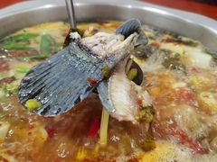 酸萝卜鱼火锅-大理.老字号渝记酸萝卜乌鱼(古城总店)