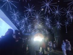 -华夏文旅西安度假区