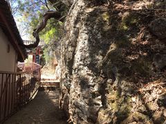 -丽江束河古镇-石莲古寺